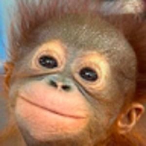 Meet your Posher, Jessi